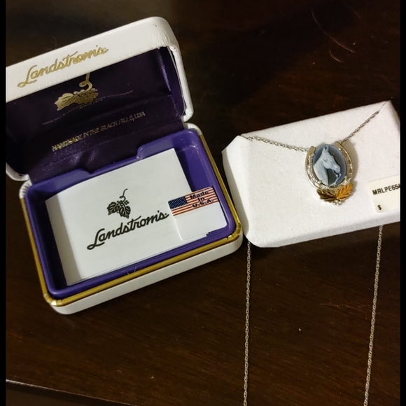 Horseshoe Memoir Necklace - Picture 2 of 3